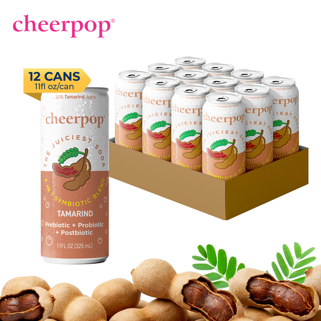 The Fruit Juice Soda - Tamarind, 11 fl oz