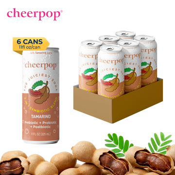 The Fruit Juice Soda - Tamarind, 11 fl oz