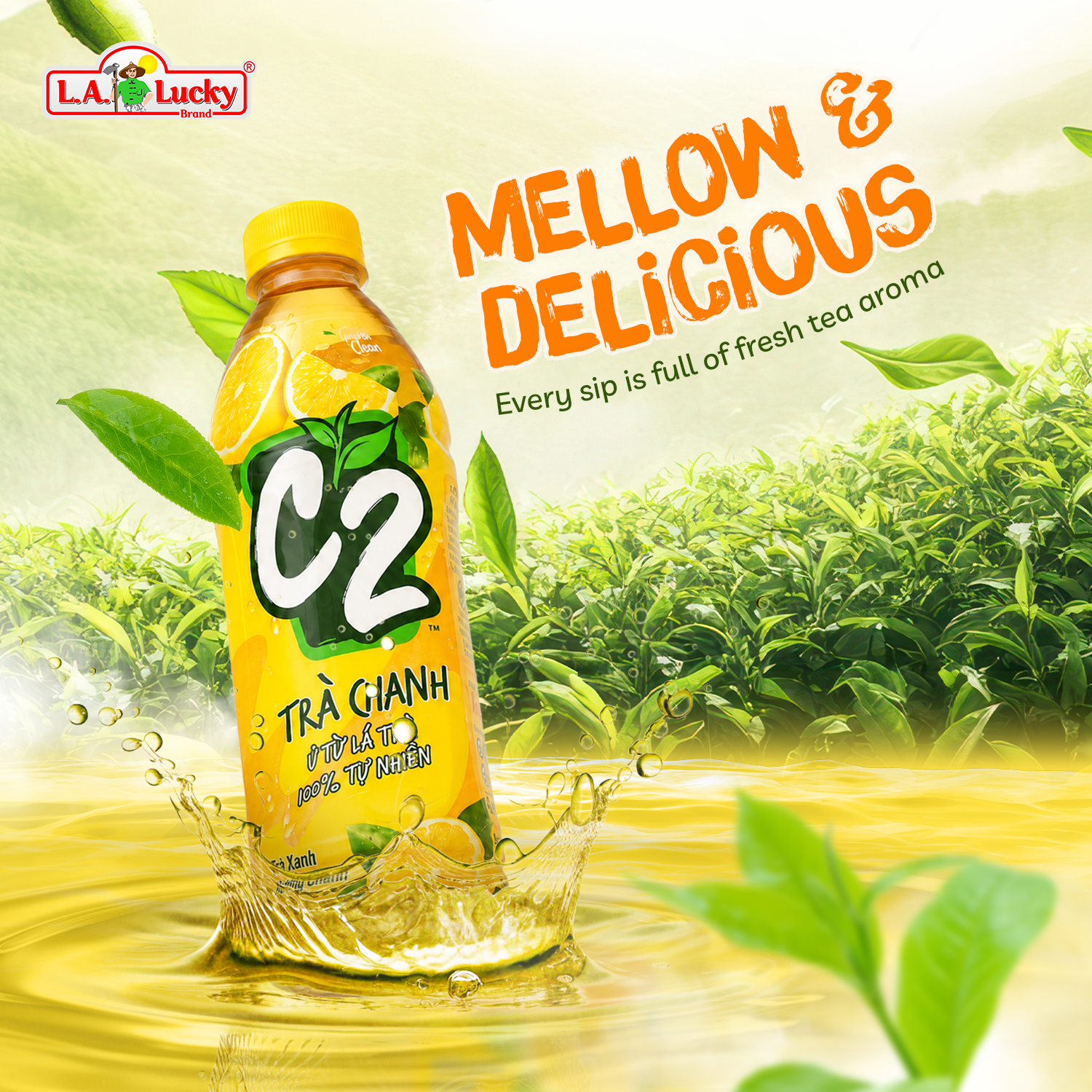 C2 Lemon Green Tea with lemon flavor and fresh tea aroma