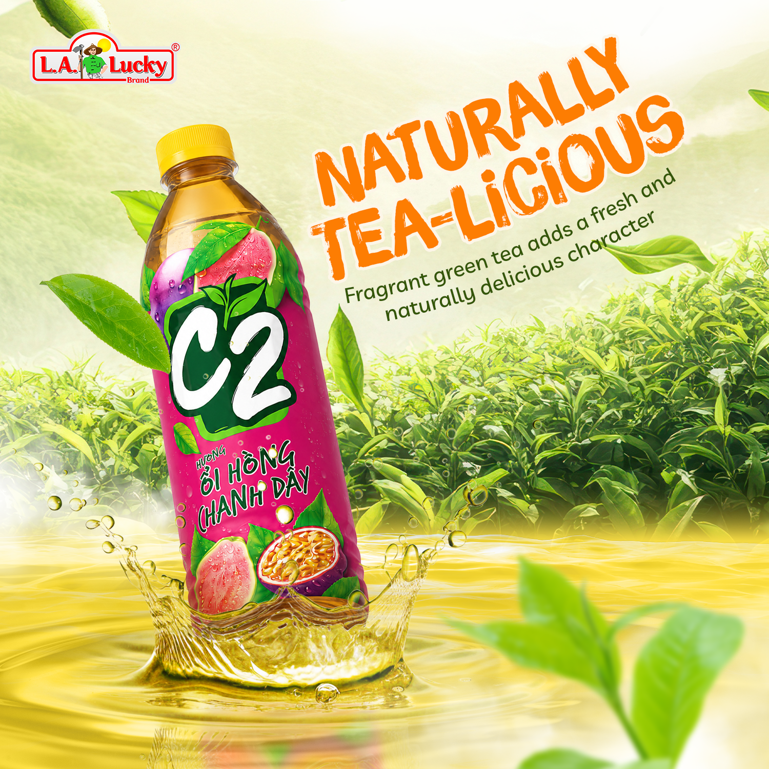 C2 Pink Guava Passionfruit Green Tea with fragrant tea aroma