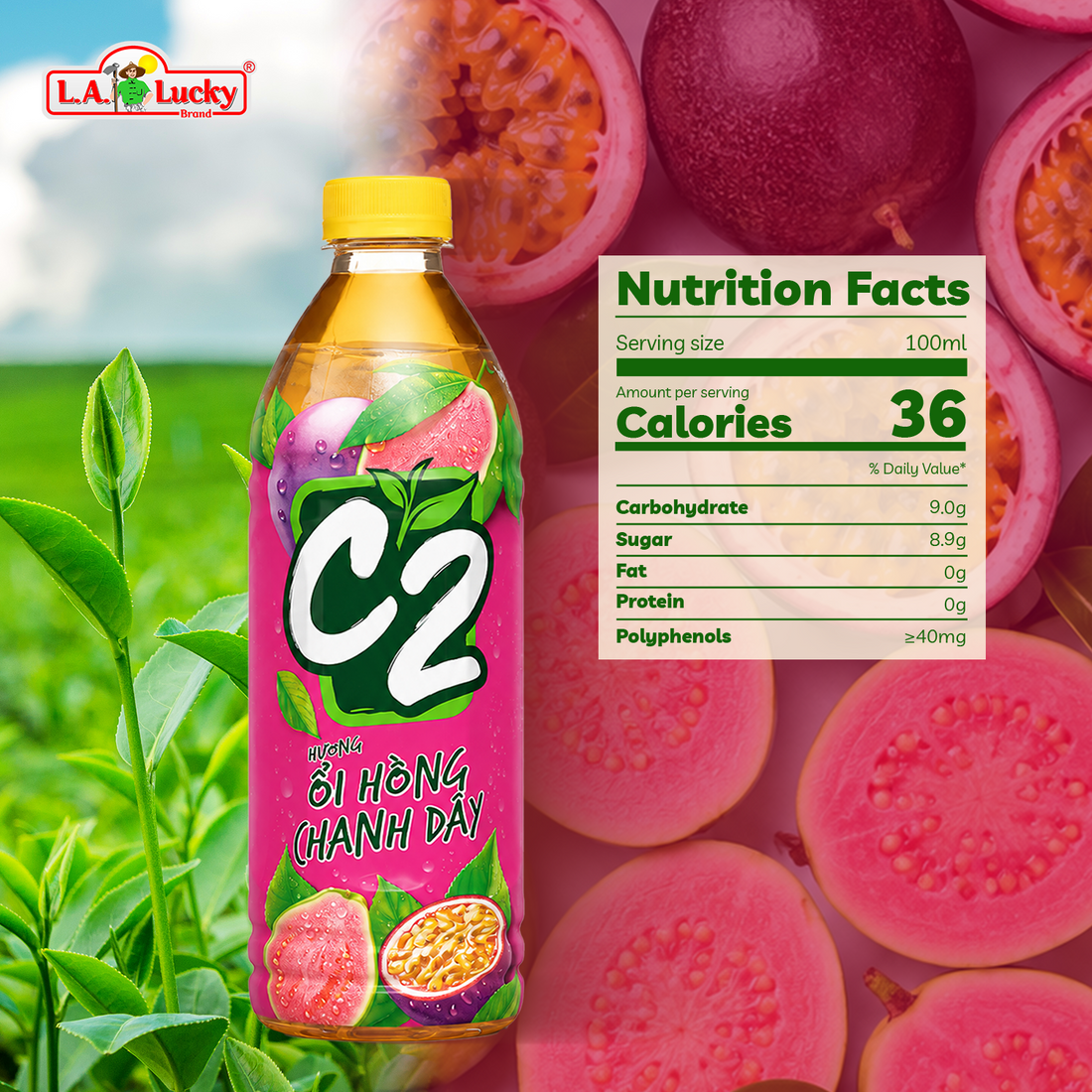 C2 Pink Guava Passionfruit Green Tea 455 mL Pack of 6
