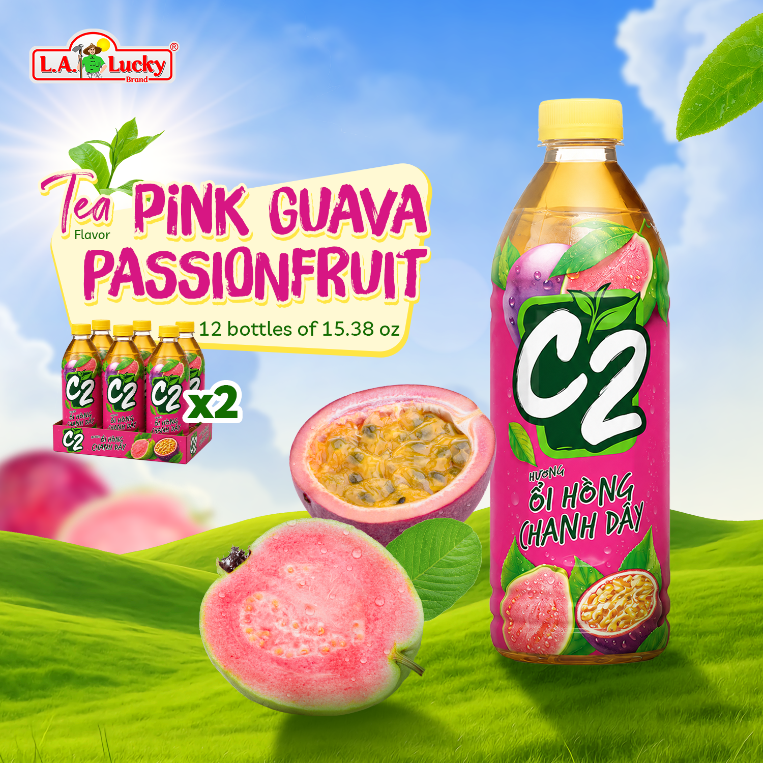C2 Pink Guava Passionfruit Green Tea 455 mL Pack of 12
