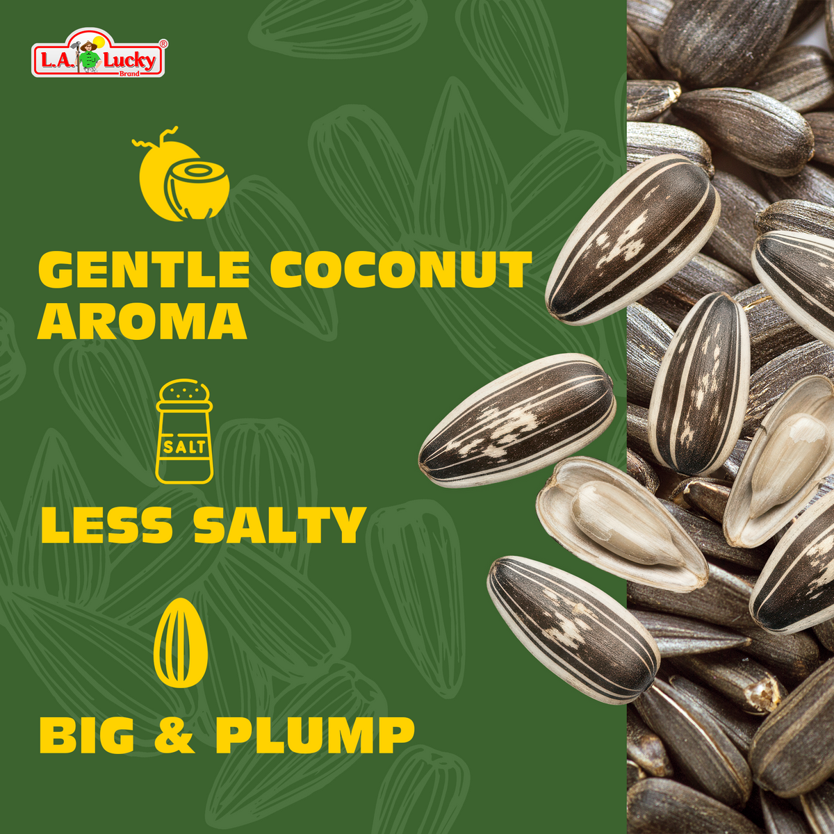 ChaCha Coconut Flavor Roasted Sunflower Seeds gentle coconut aroma less salty big and plump graphic