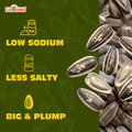 ChaCha Original Roasted Sunflower Seeds low sodium less salty big and plump graphic
