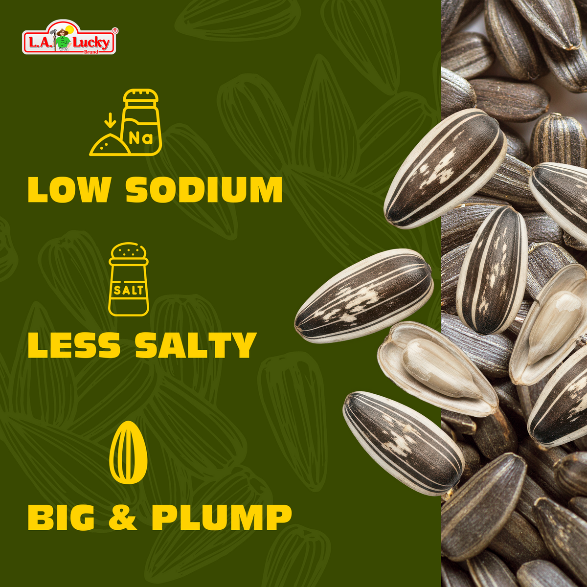 ChaCha Original Roasted Sunflower Seeds low sodium less salty big and plump graphic