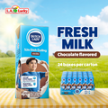 Dutch Lady chocolate flavored UHT milk 24 pack