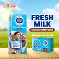 Dutch Lady chocolate flavored UHT milk 48 pack