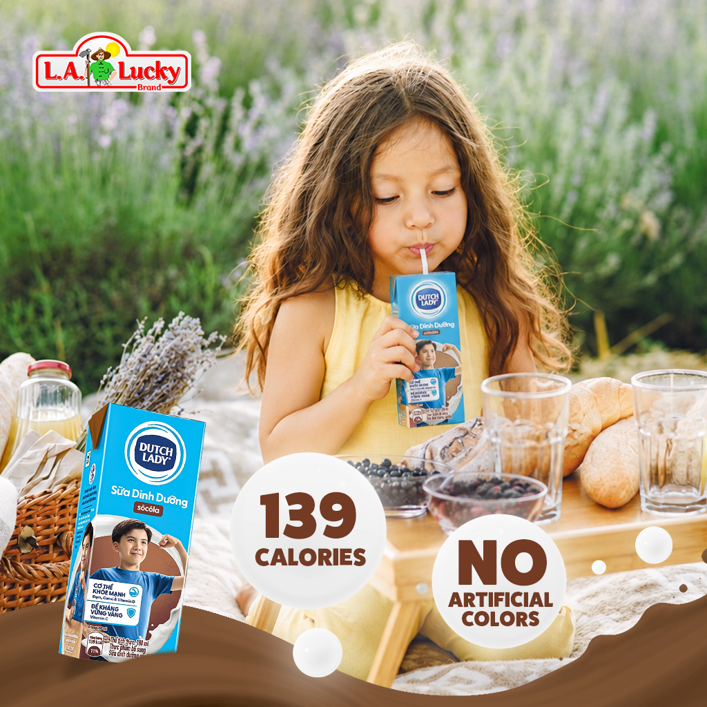 Dutch Lady chocolate milk ready to drink