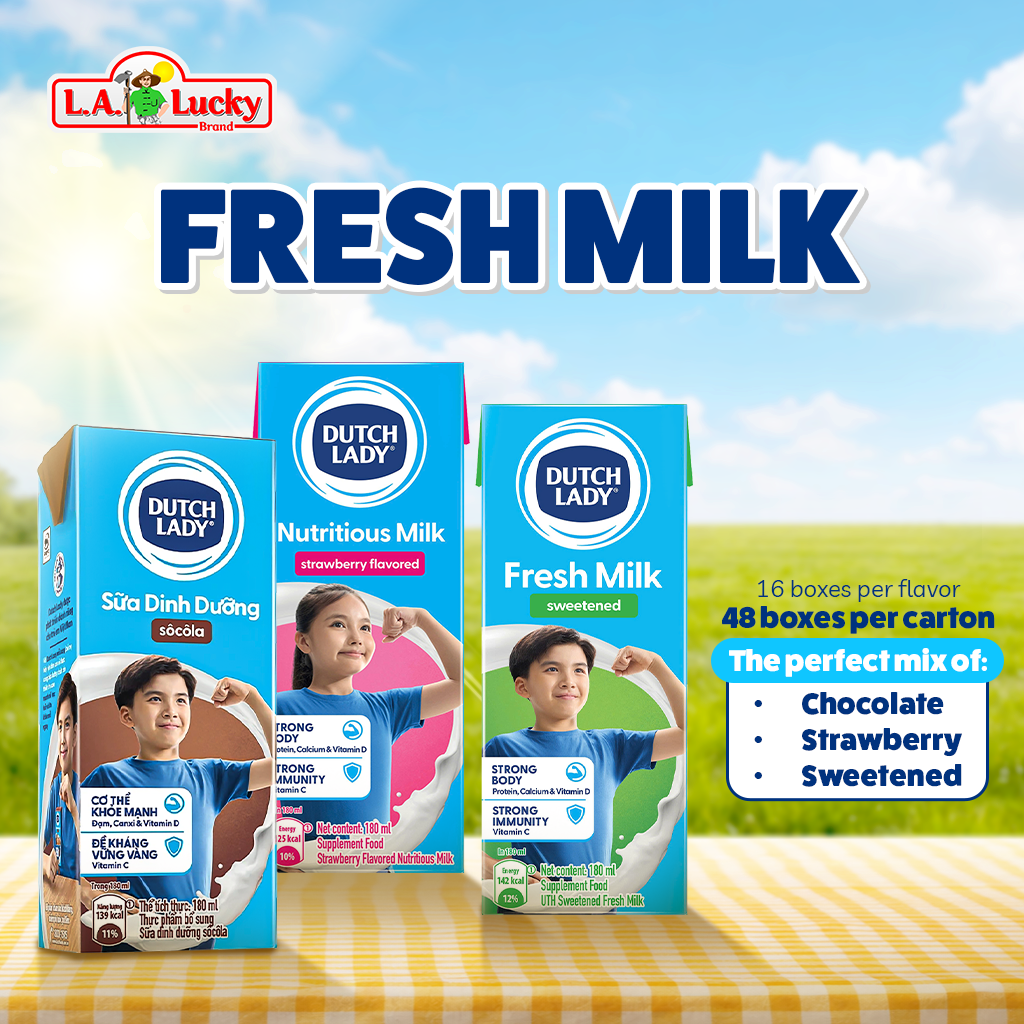 Dutch Lady UHT milk variety pack with chocolate, strawberry, and sweetened flavors, 24 cartons