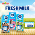 Dutch Lady UHT milk variety pack with chocolate, strawberry, and sweetened flavors, 48 cartons