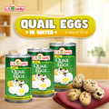 L.A. Lucky Quail Eggs in Water, pack of 3