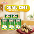 L.A. Lucky Quail Eggs in Water, pack of 5