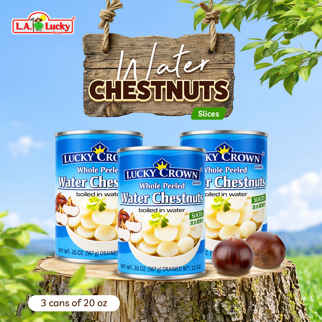 Lucky Crown Sliced Water Chestnuts, pack of 3
