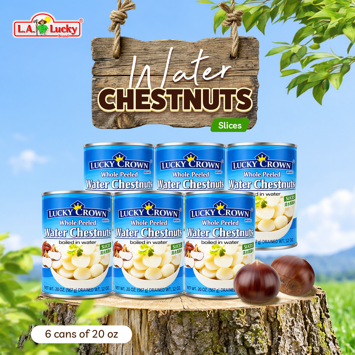 Lucky Crown Sliced Water Chestnuts, pack of 6