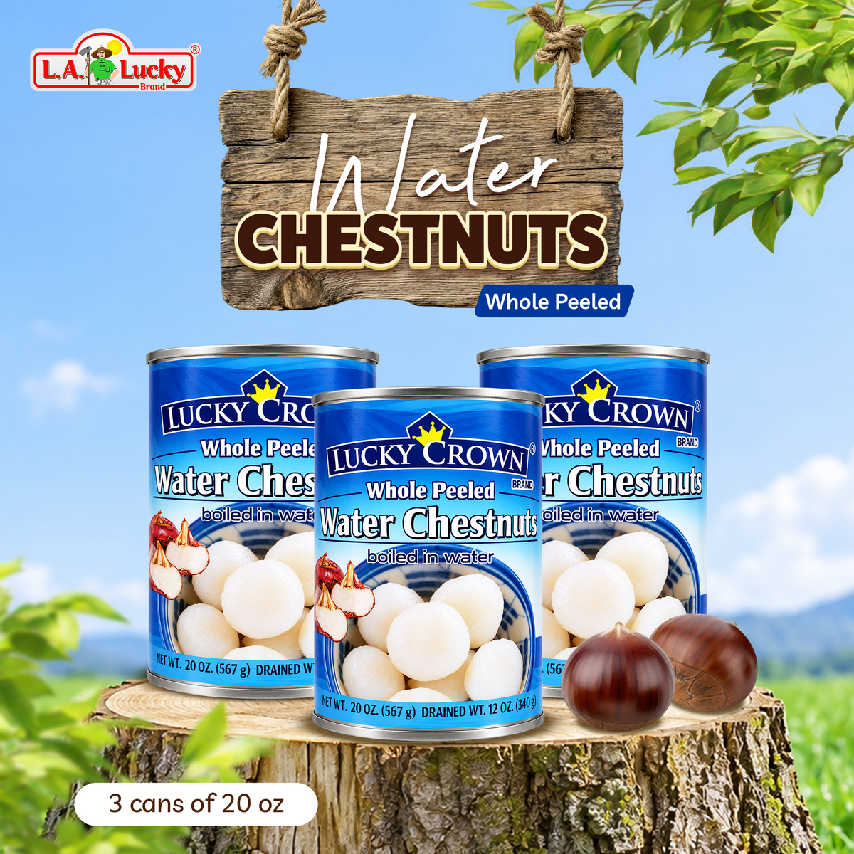 Lucky Crown Whole Peeled Water Chestnuts, pack of 3