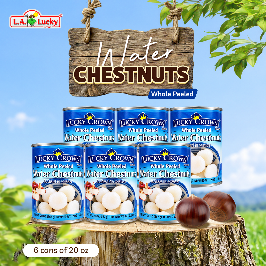 Lucky Crown Whole Peeled Water Chestnuts, pack of 3