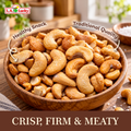 Close-up of crisp firm Nong Phu roasted salted cashews