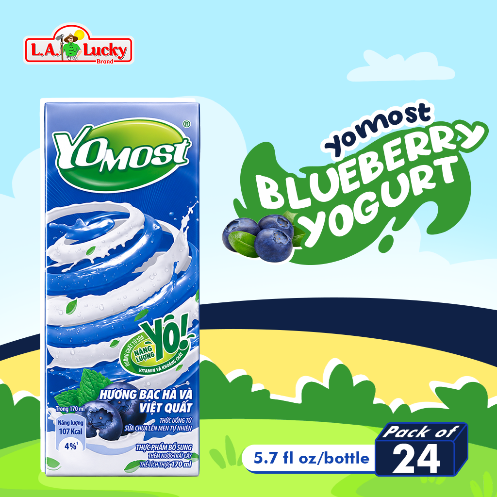 Yomost blueberry mint yogurt drink 24 pack, 170 mL bottle