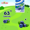 Yomost blueberry mint yogurt drink front packaging